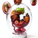 Clarkesworld Magazine Kindle Edition Science Fiction-0