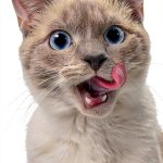 Kindle eBook Short Story Anthology English Edition 160 Pages-0